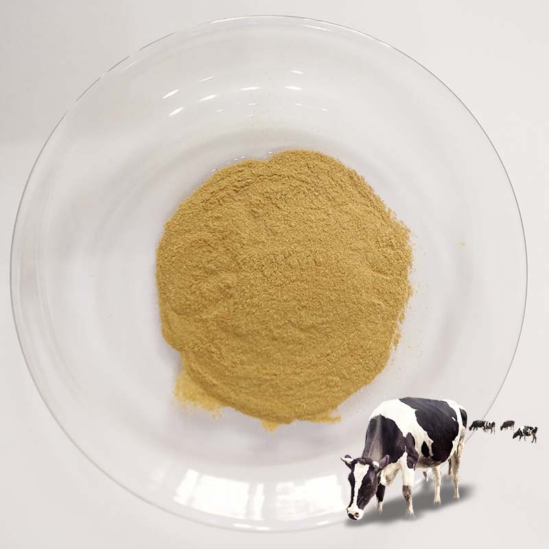 Rengty Array image156