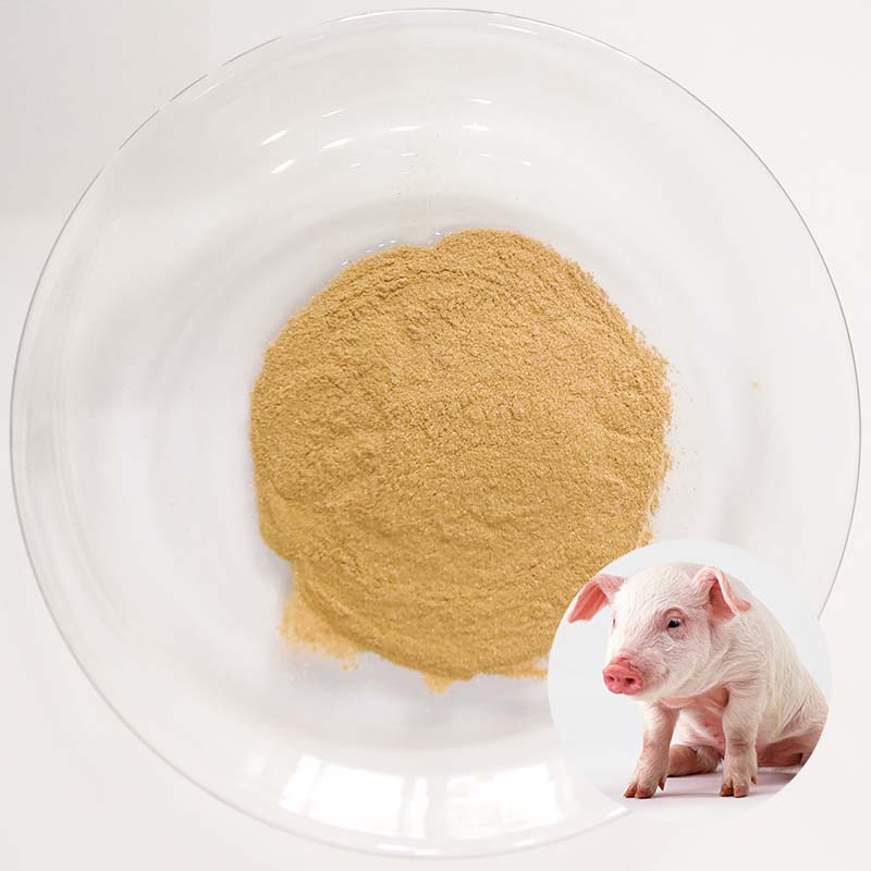 Rengty Array image100