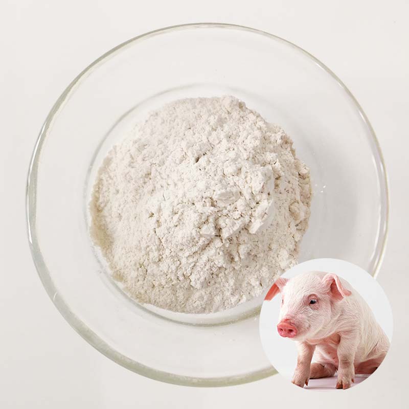 Rengty Array image177