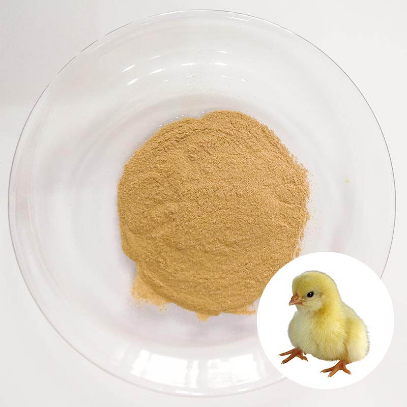 Rengty Array image40