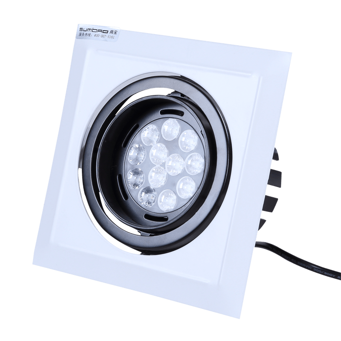 DW023S-1 LED Recessed Lights