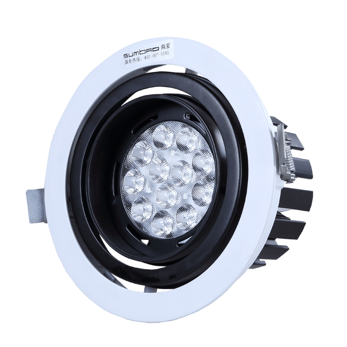 DW068S Recessed Spotlight 14W/24W