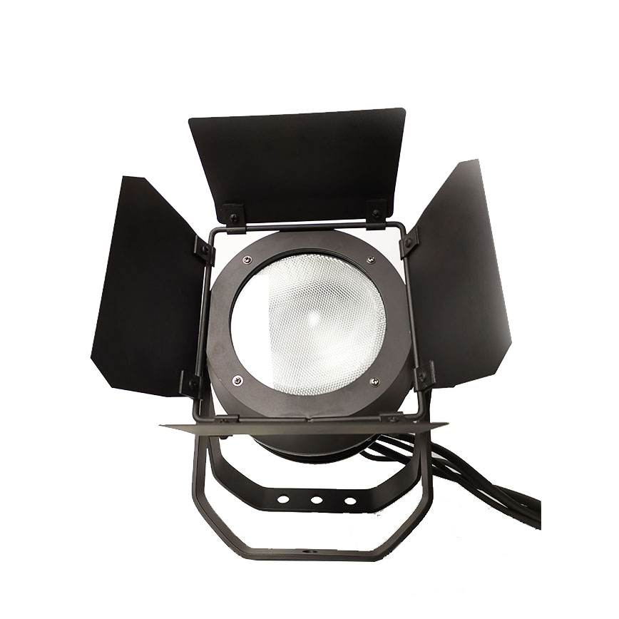 Fresnel Outdoor 200W RGB COB Par Light