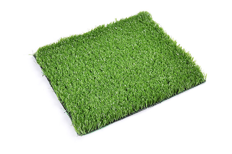 Enoch Array image300