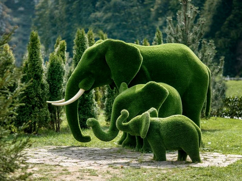 Enoch Array image302