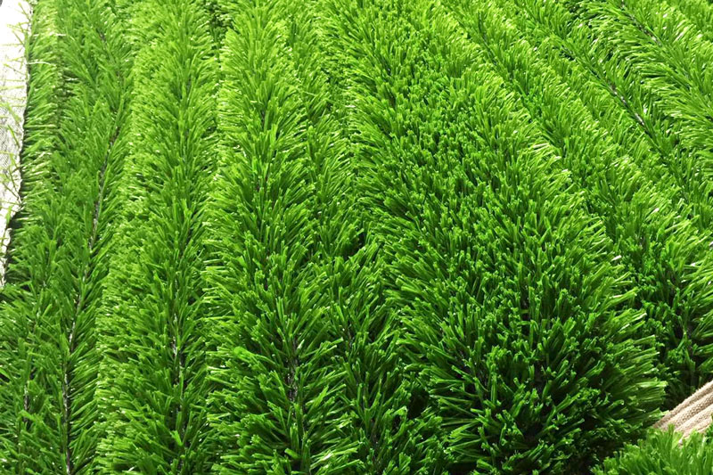 Enoch Array image758