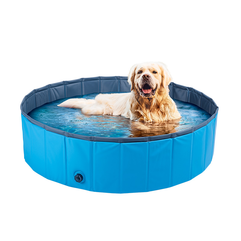 Zhanxing Array image59