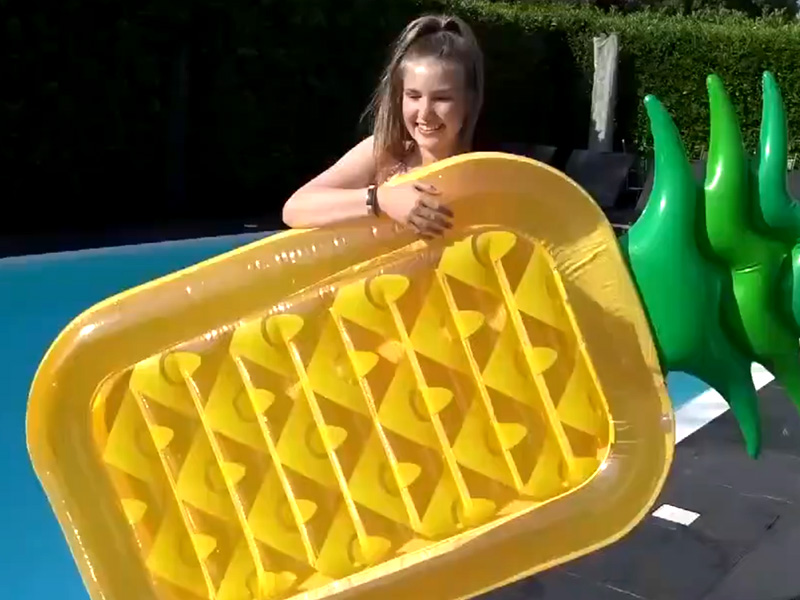 Zhanxing Array image88