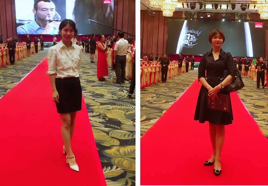 Two Eight-Great HOSFAIR, Harvest of 28 ceramics | White Porcelain Tableware-1