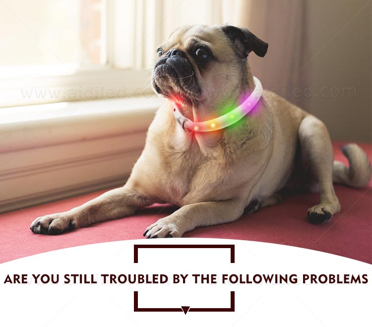 AIDI-Find Glowing Dog Collar Dog Collars With Lights For Night From Aidi-1