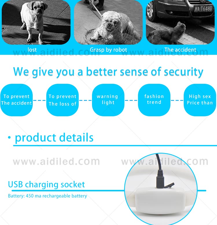 AIDI-Led Light Up Dog Collar, Fish Filament Rechargeable Led Dog Leash-1