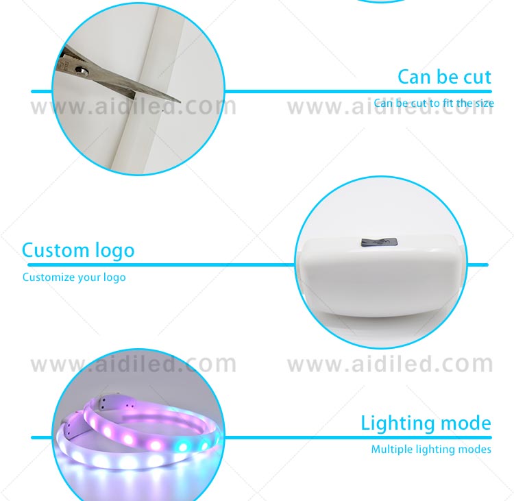 AIDI-Led Light Up Dog Collar, Fish Filament Rechargeable Led Dog Leash-2