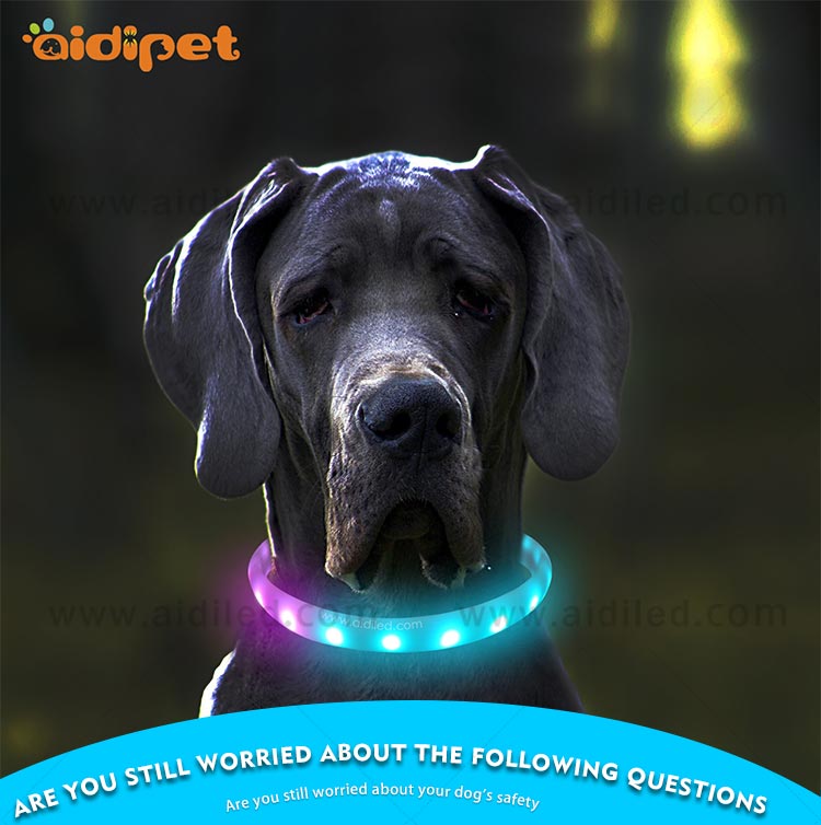 AIDI-Best Night Dog Collar Nylon Fish Filament Rechargeable-11