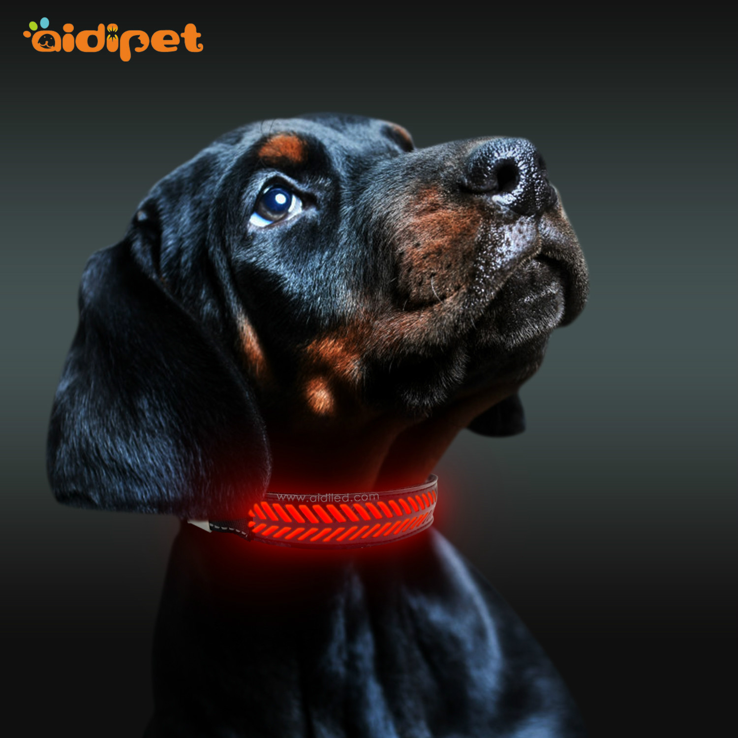 AIDI-Manufacturer Of Dog Collar Safety Light LED | Aidi-1
