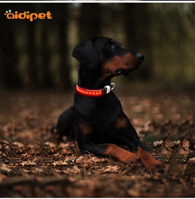 AIDI-Manufacturer Of Dog Collar Safety Light LED | Aidi-11