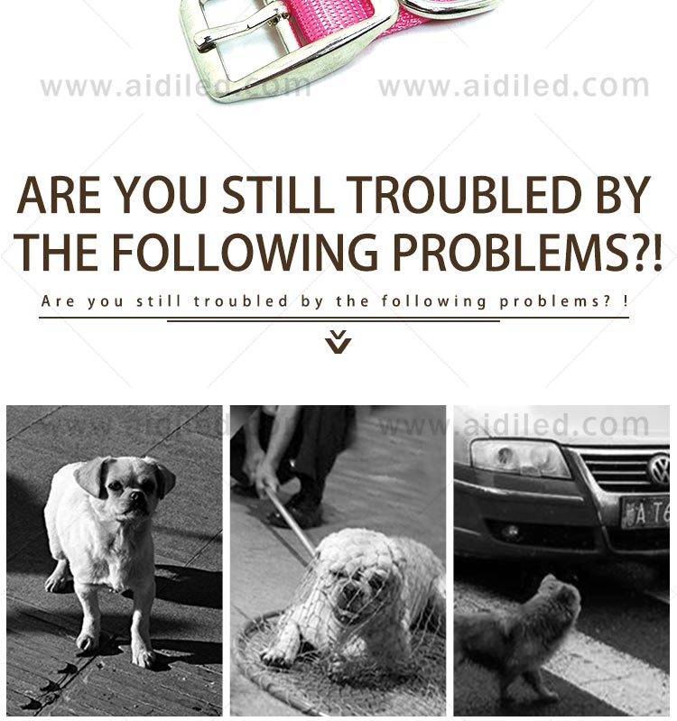 AIDI-High-quality Best Dog Collar Light | Glowing Dog Collar-3