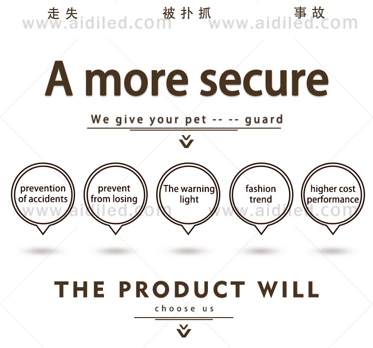 AIDI-High-quality Best Dog Collar Light | Glowing Dog Collar-4