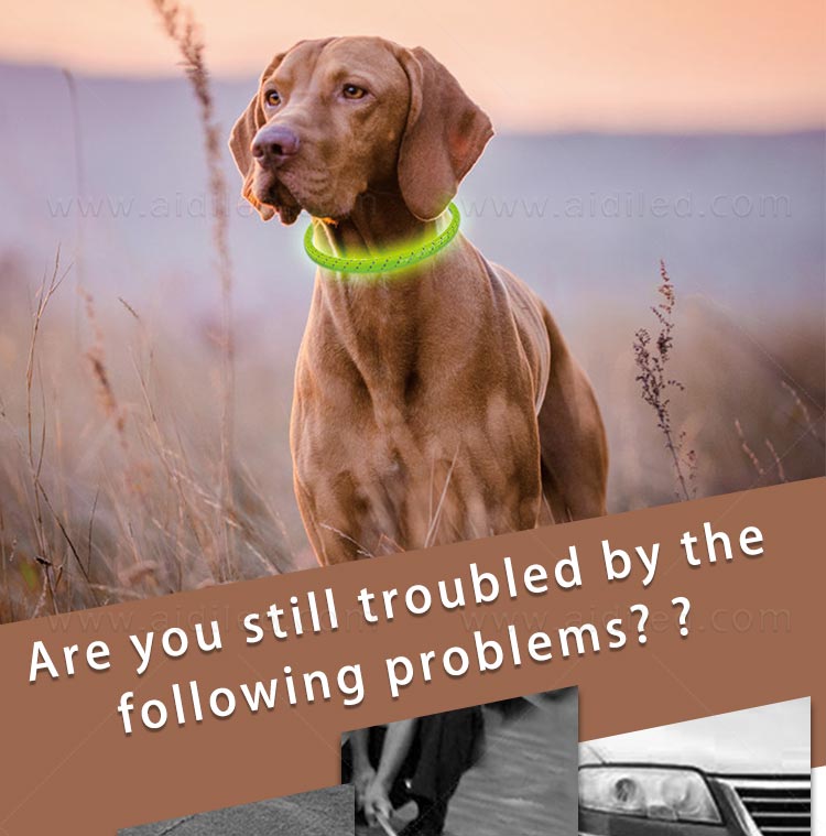 AIDI-Professional Flashing Dog Collar Light Small Dog Collar Light Supplier-2