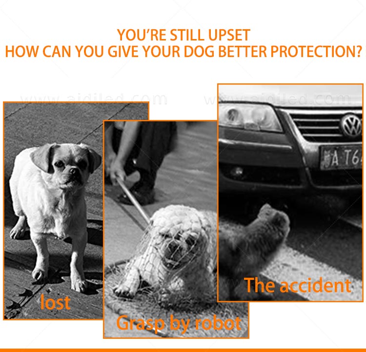 AIDI-Led Dog Collar Waterproof | Light Up Led Shining Dog Collar-3