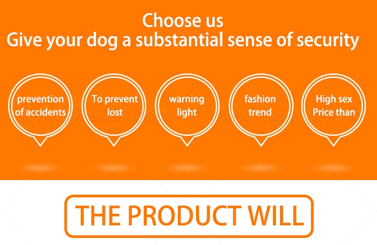 AIDI-Led Dog Collar Waterproof | Light Up Led Shining Dog Collar-4