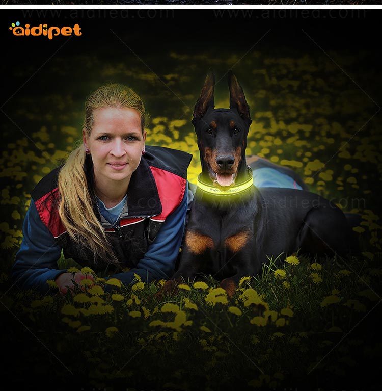 AIDI-Led Dog Collar Waterproof | Light Up Led Shining Dog Collar-10