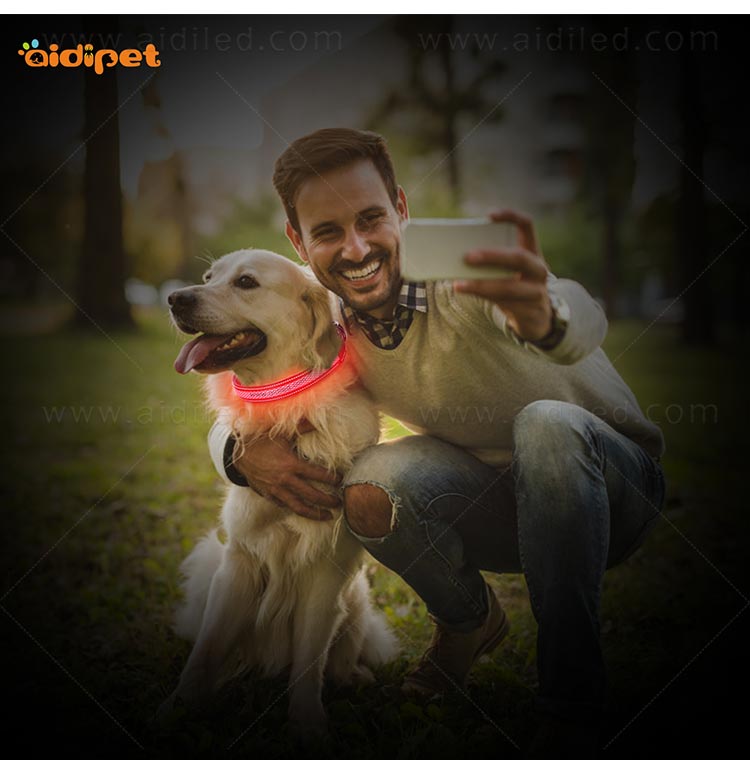 AIDI-Led Dog Collar Waterproof | Light Up Led Shining Dog Collar-9