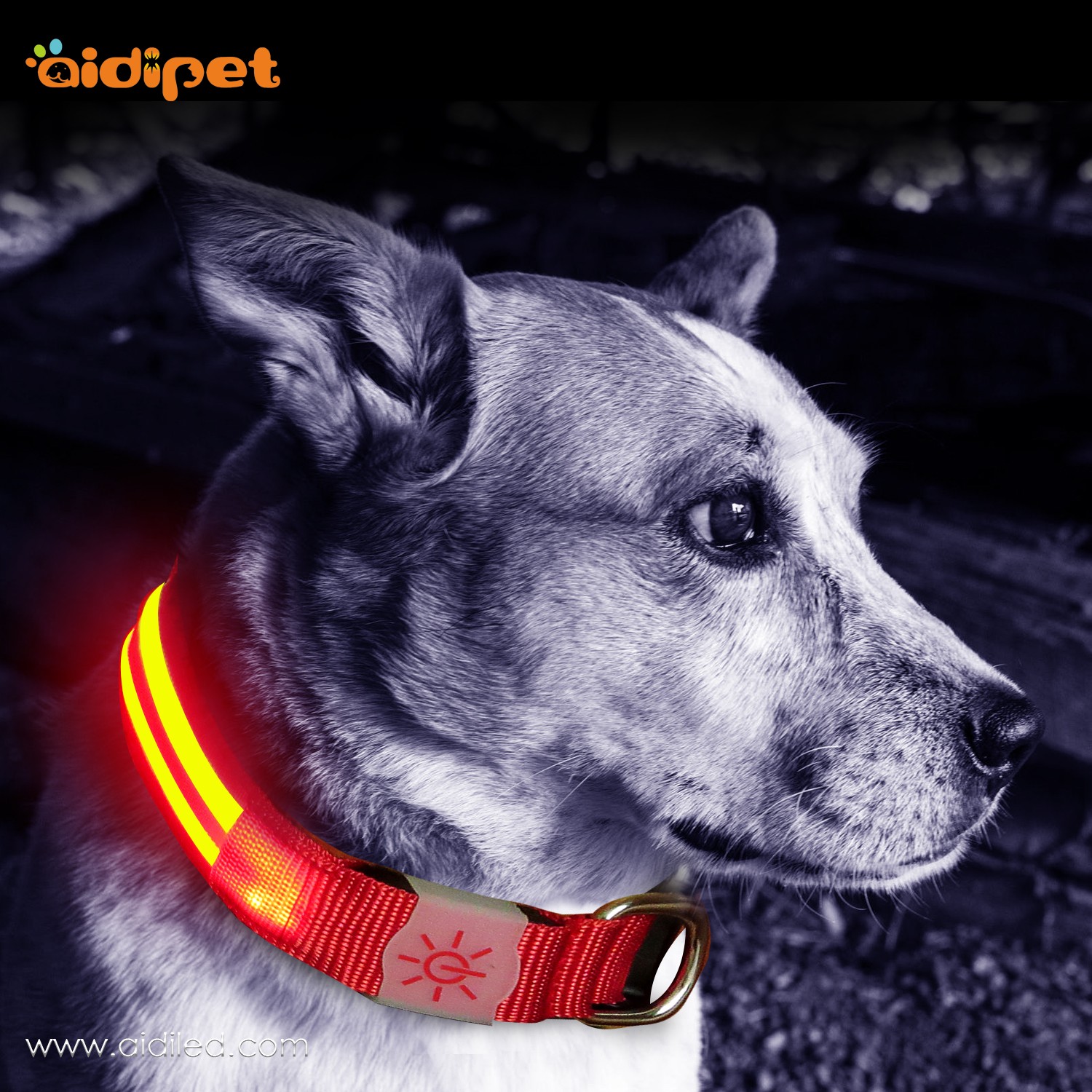 AIDI-Find Dog Collar Lights Waterproof Dog Collars That Light Up At Night-1