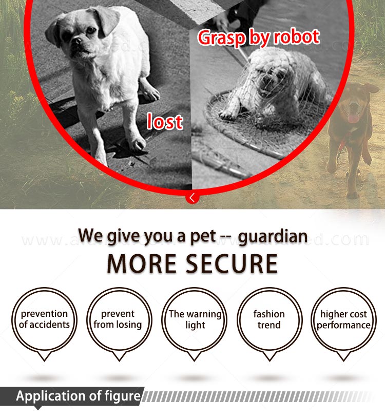 AIDI-Find Dog Collar Lights Waterproof Dog Collars That Light Up At Night-6