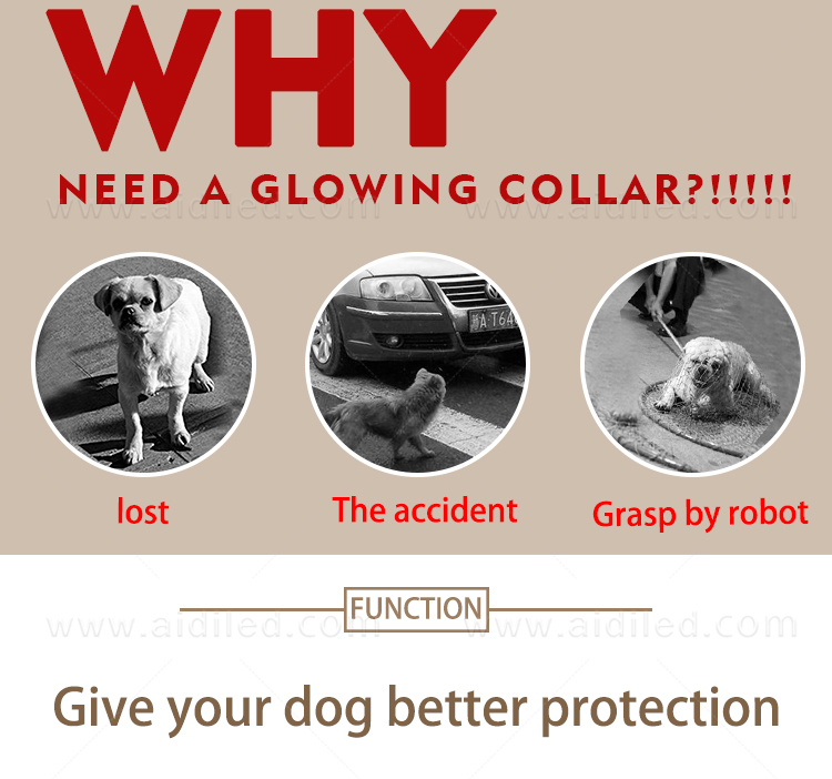 AIDI-Best Waterproof Lighted Dog Collars Wholesale Pet Dog Led Collar-3