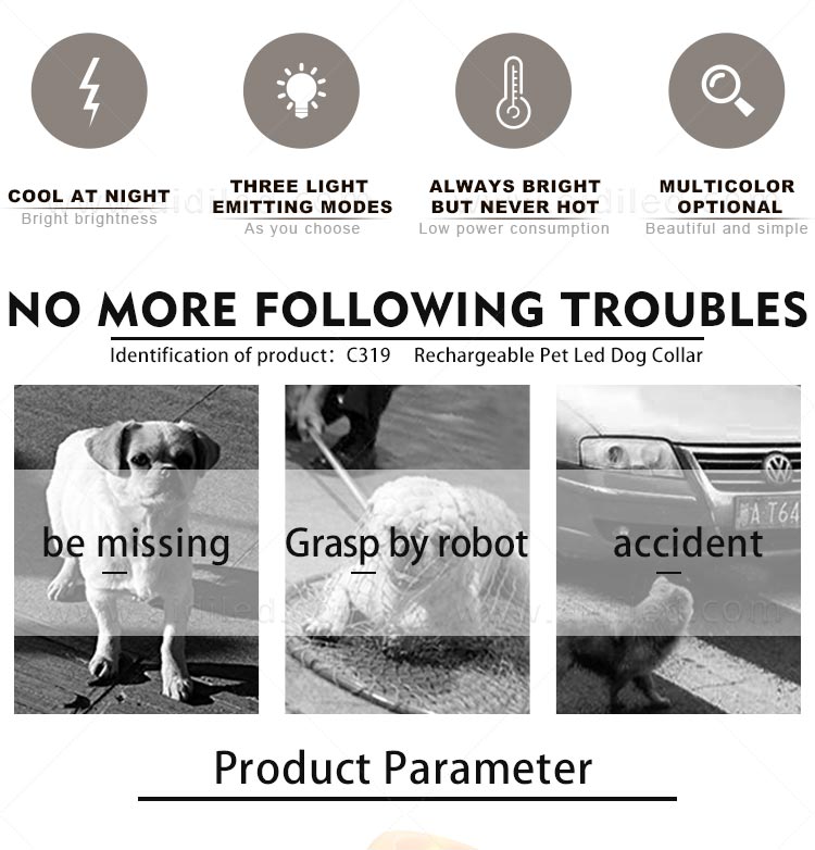 AIDI-Led Light Up Dog Collar Led Fashionable Dog Collar-3