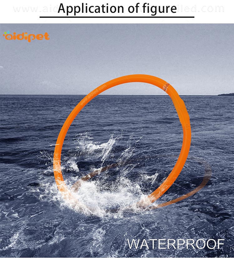 AIDI-Led Light Up Dog Collar Led Fashionable Dog Collar-10