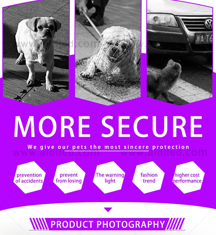 AIDI-Dog Collar Led Flashing Light Manufacture | Led Nylon Dog Collar-3