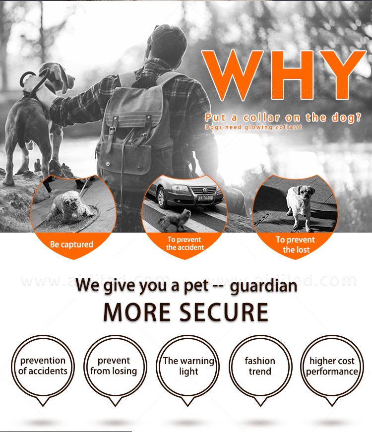 AIDI-Dog Collar Led Flashing Light, Bluetooth Remote Controlled-2