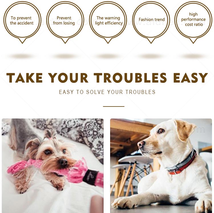 AIDI- Silicone Waterproof Rechargeable Flashing Led Dog Collar | AIDI-3