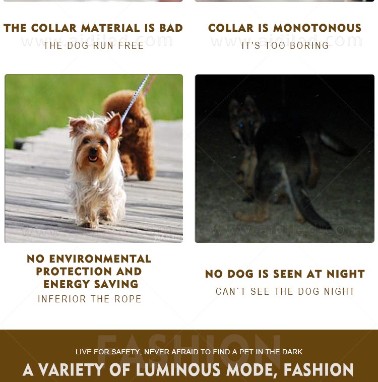 AIDI- Silicone Waterproof Rechargeable Flashing Led Dog Collar | AIDI-4