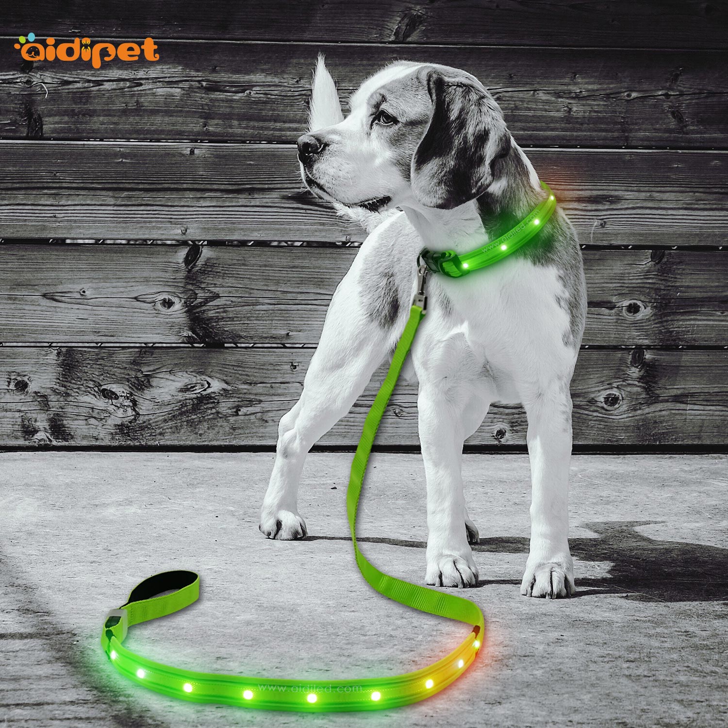 AIDI-Professional Best Led Dog Leash Dog Leash Light For Night Walks-1