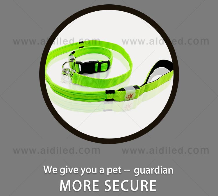 AIDI-Professional Best Led Dog Leash Dog Leash Light For Night Walks-4