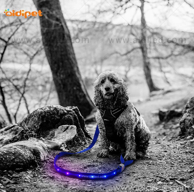 AIDI-Professional Best Led Dog Leash Dog Leash Light For Night Walks-10