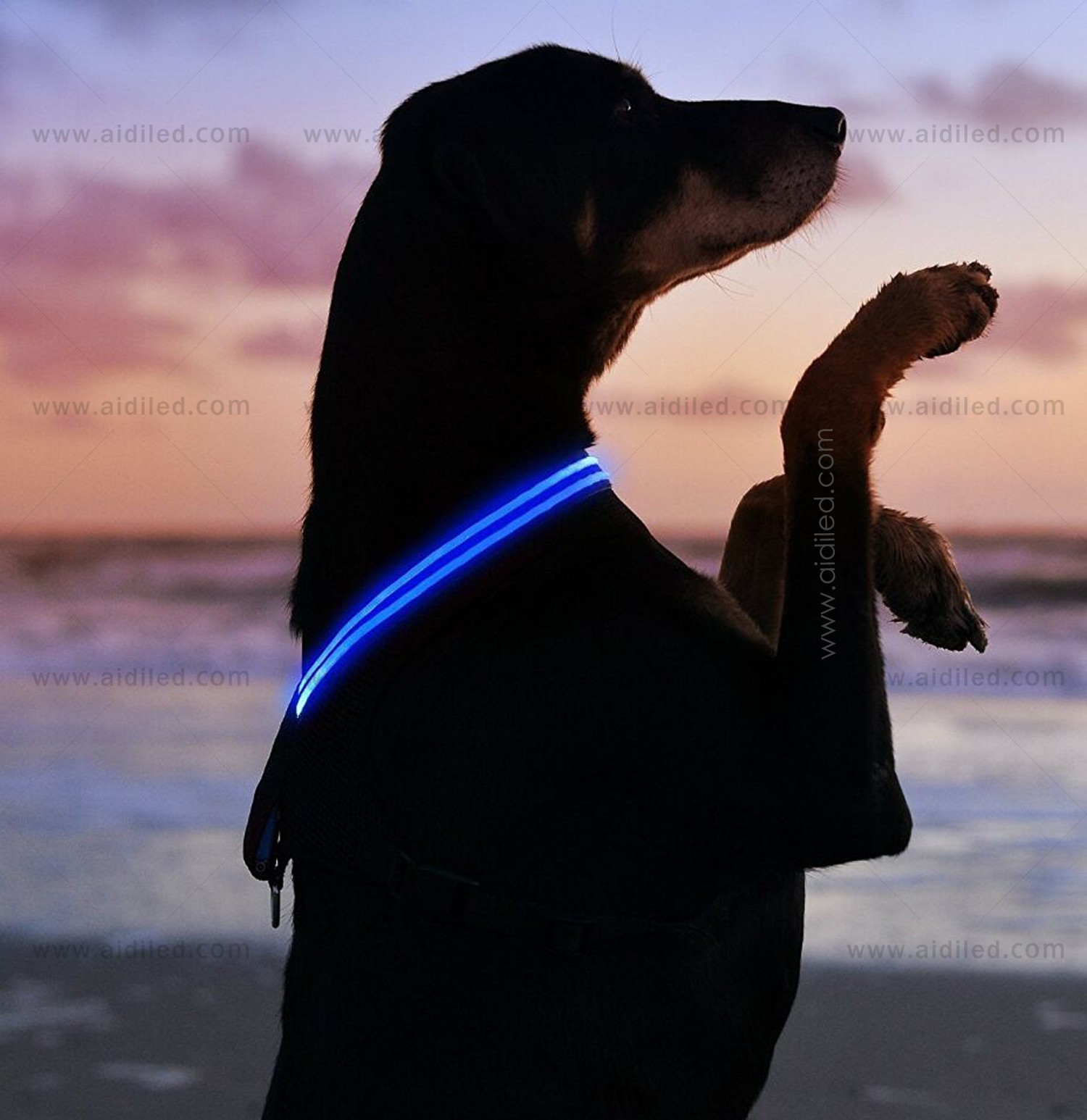 AIDI-Find Flashing Dog Harness Best Led Dog Harness-2