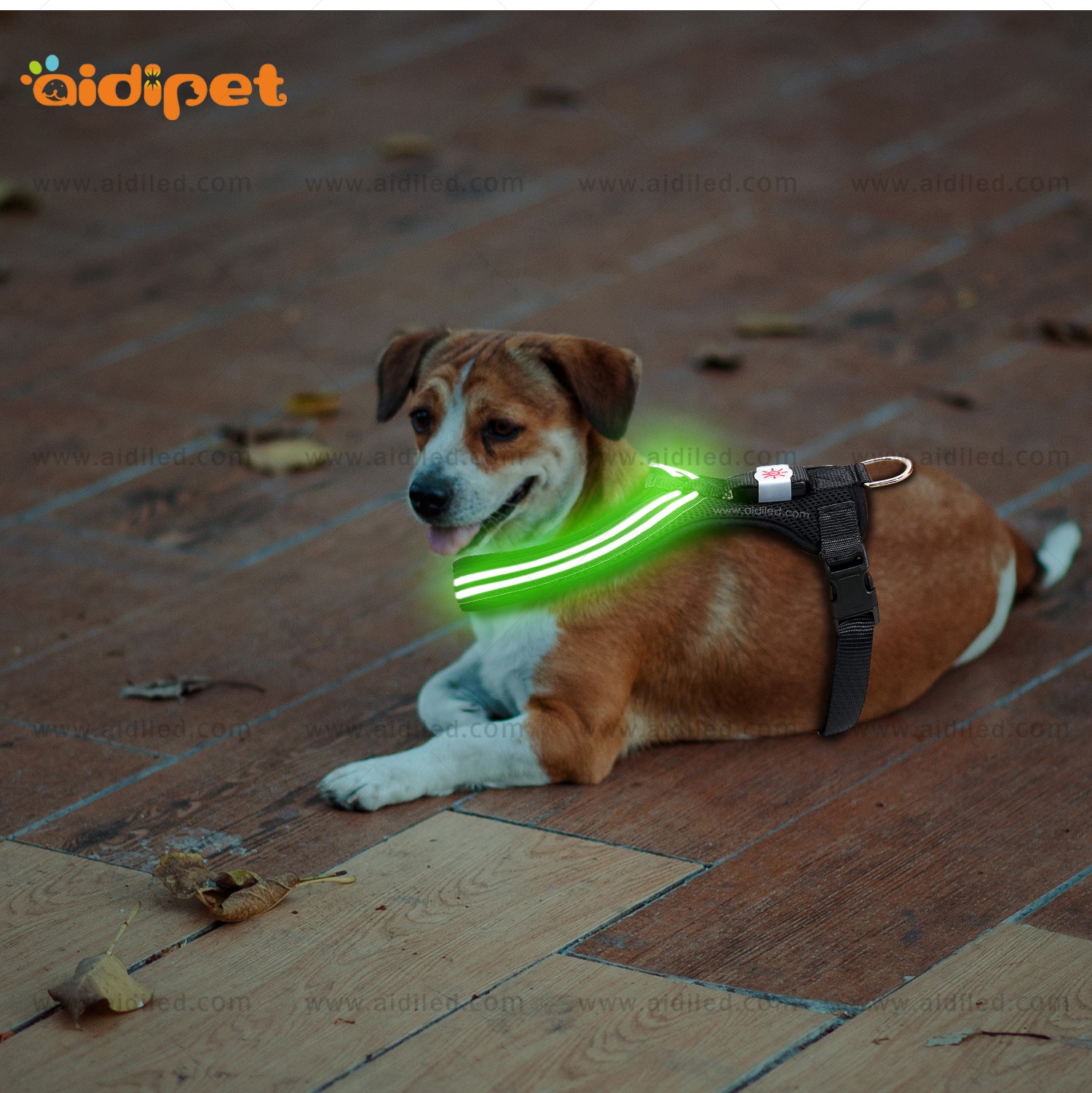 AIDI-Find Flashing Dog Harness Best Led Dog Harness-9