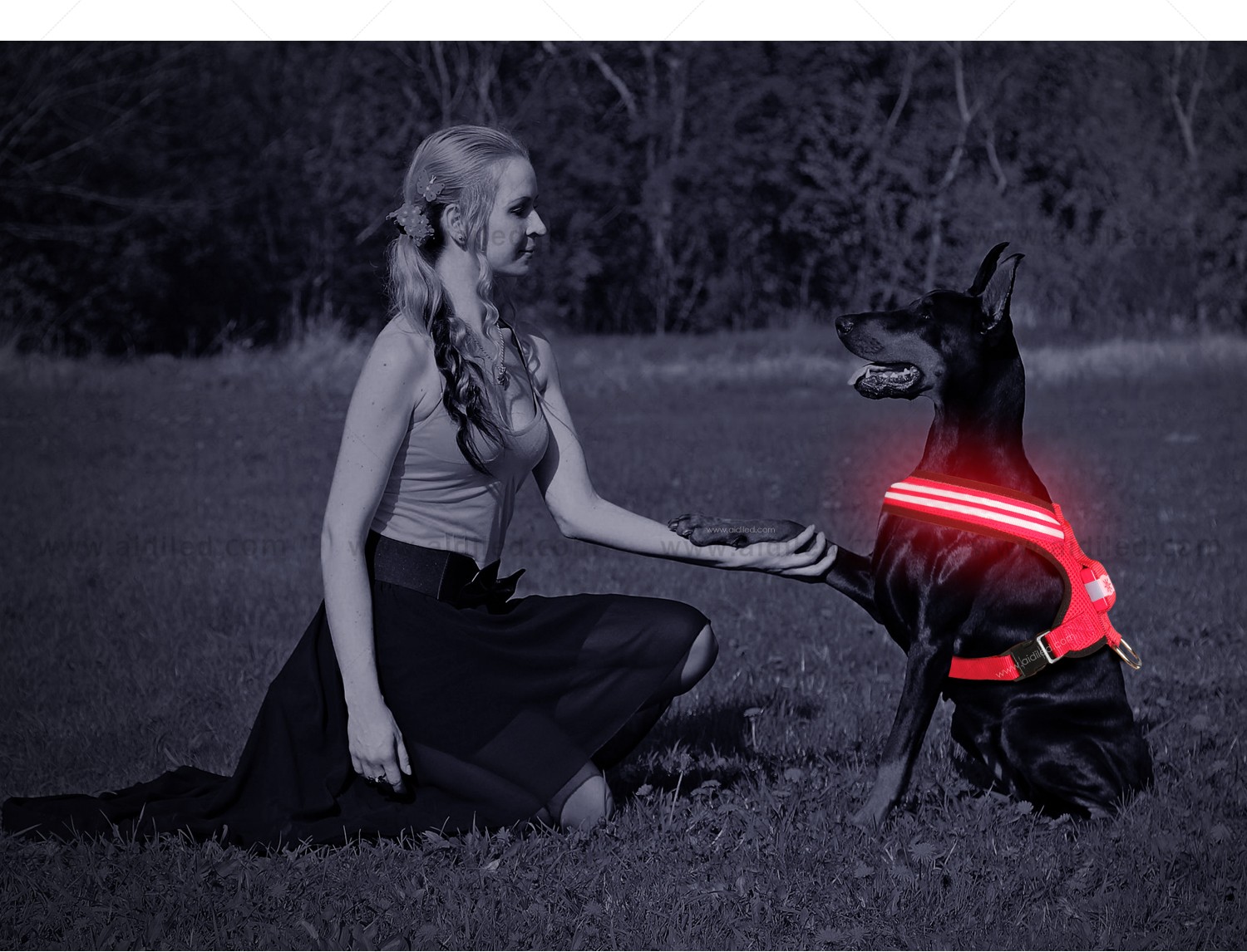 AIDI-Find Flashing Dog Harness Best Led Dog Harness-7