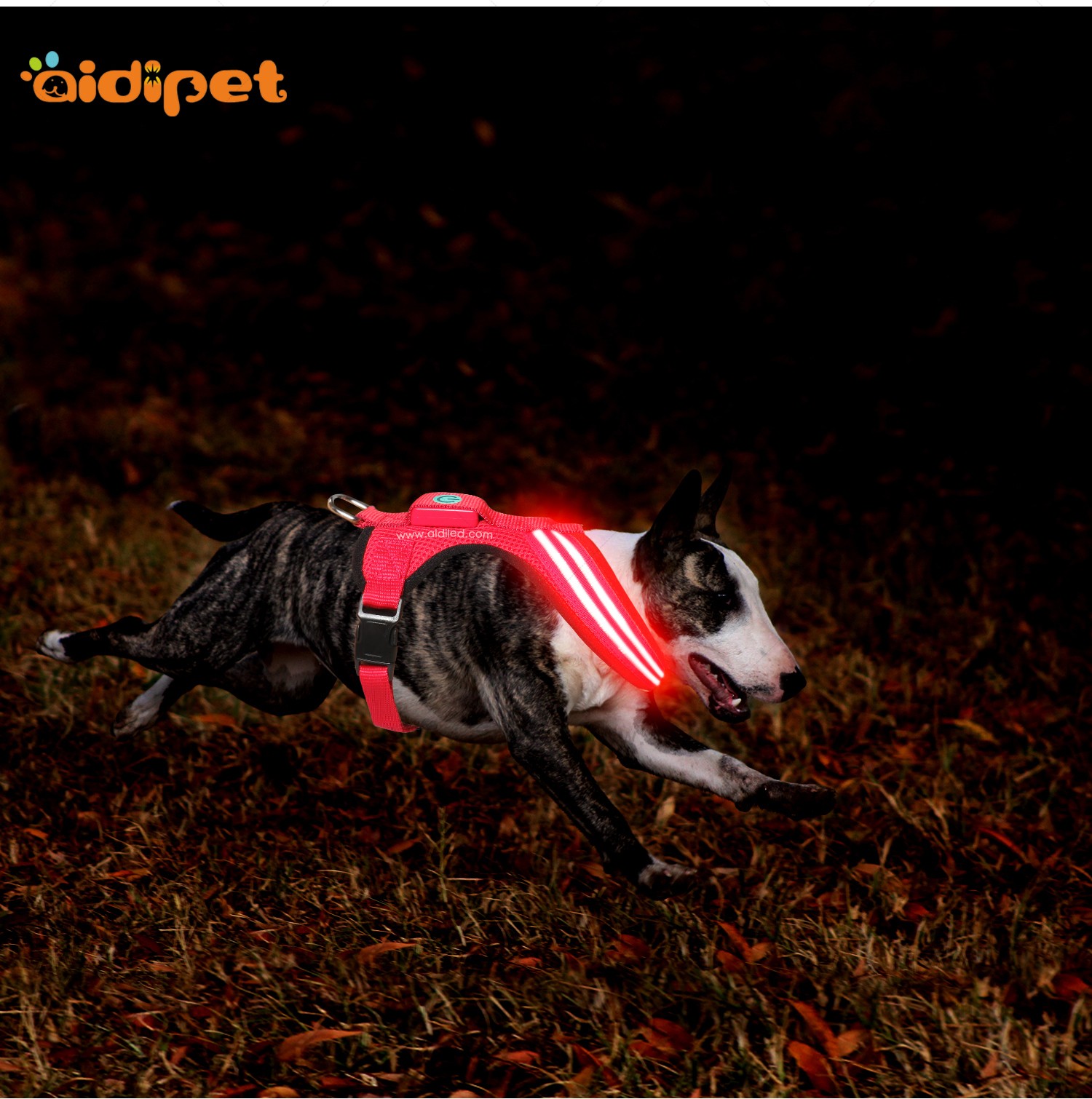AIDI-Find Flashing Dog Harness Best Led Dog Harness-8