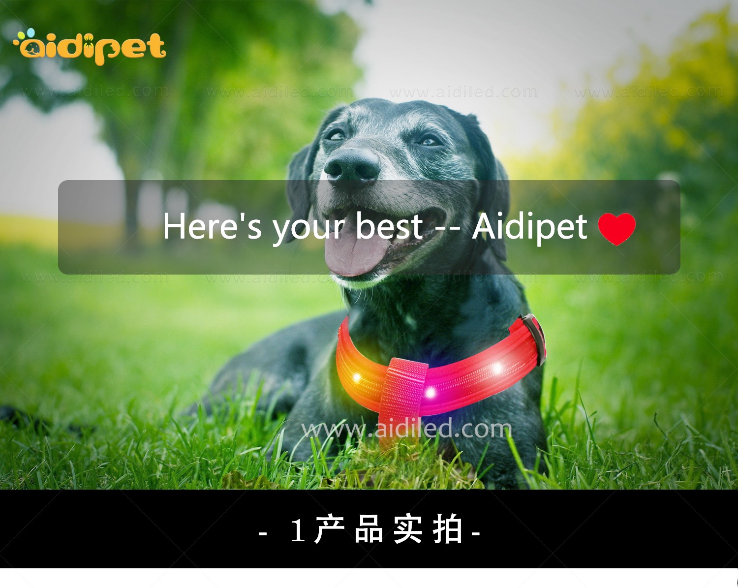 AIDI-Led Dog Harness | Colorful Soft Rechargeable Led Dog Harness-2