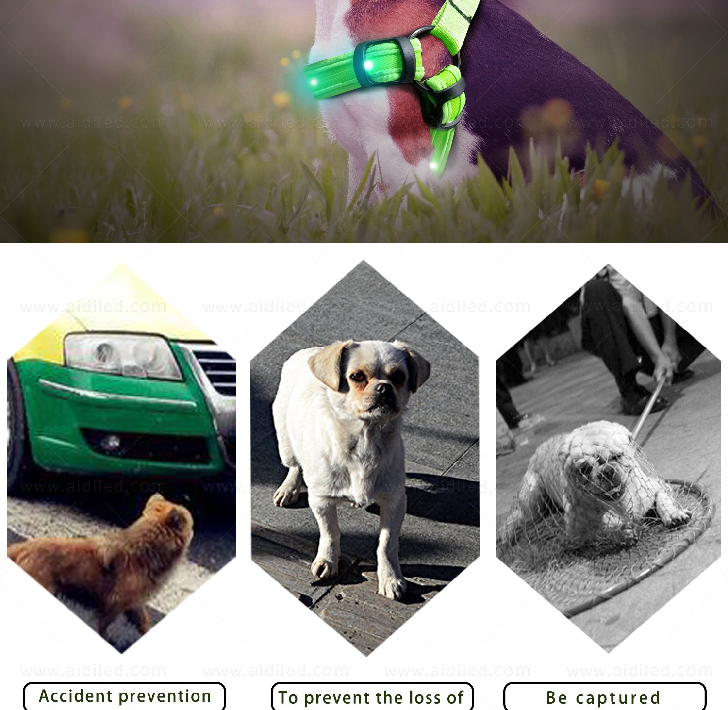 AIDI-Led Dog Harness | Colorful Soft Rechargeable Led Dog Harness-13