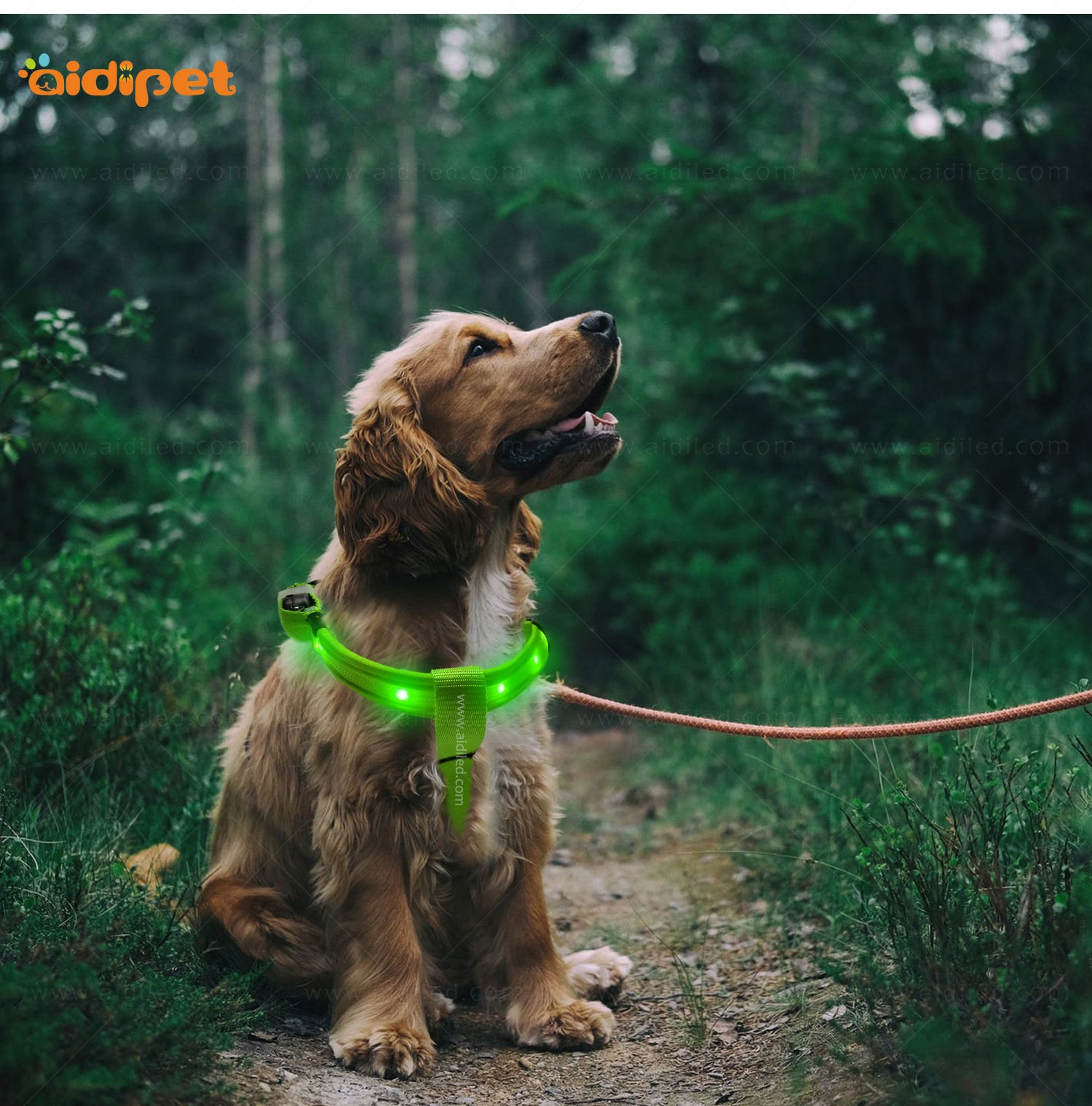 AIDI-Led Dog Harness | Colorful Soft Rechargeable Led Dog Harness-15