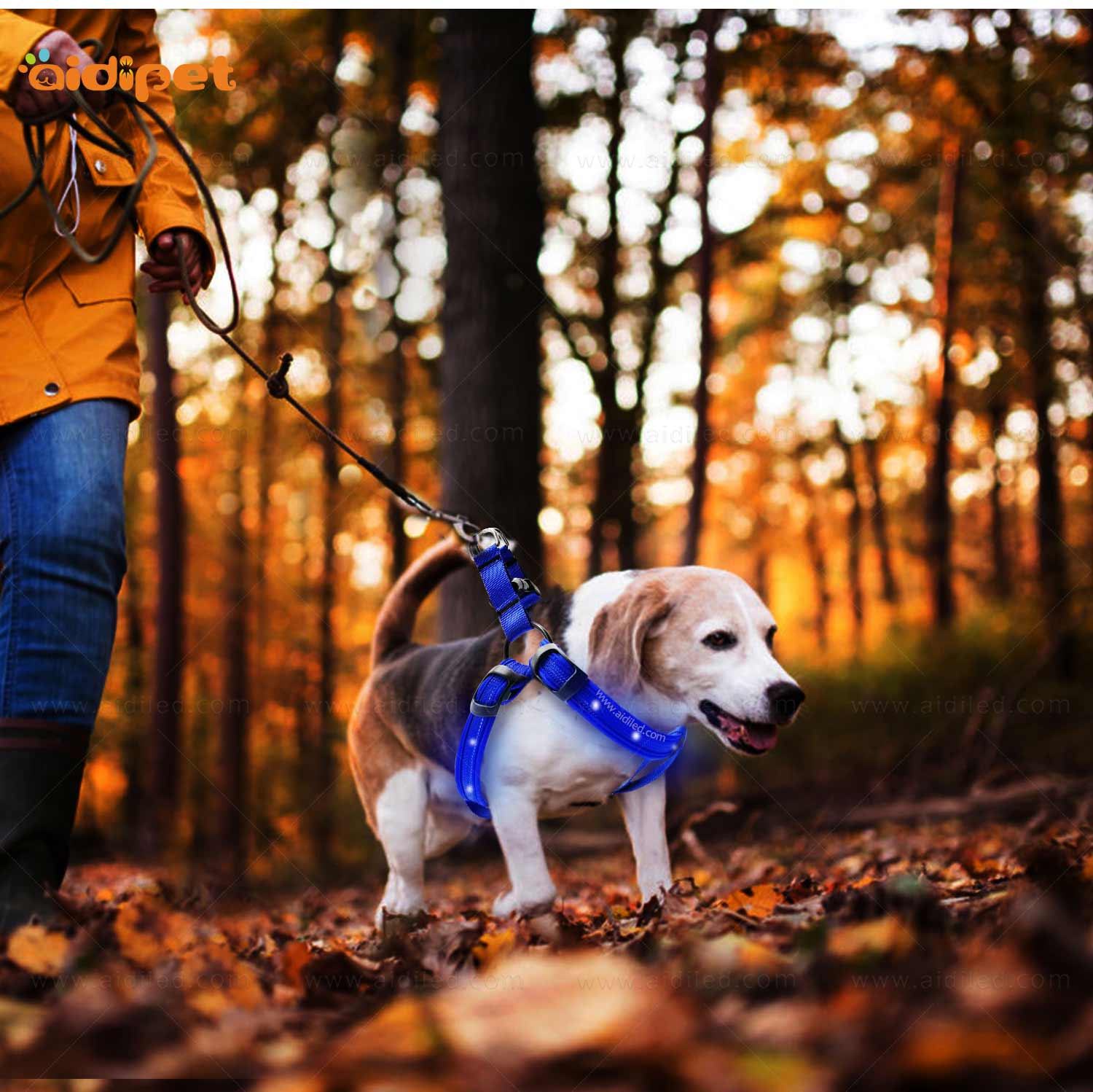 AIDI-Led Dog Harness | Colorful Soft Rechargeable Led Dog Harness-16