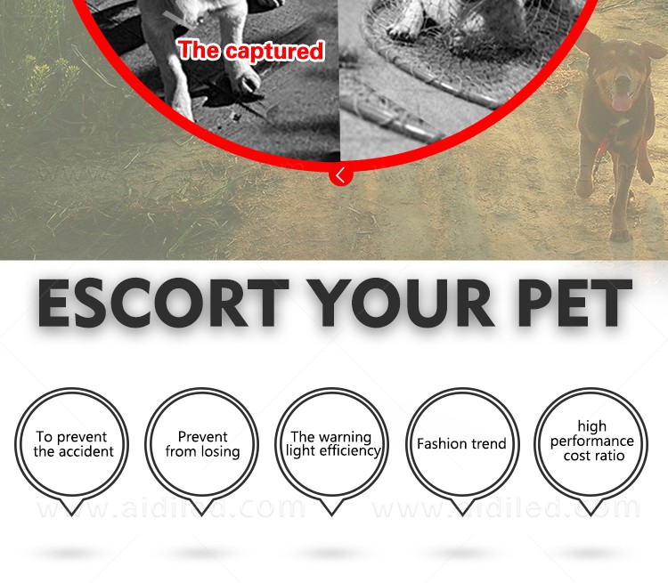 AIDI-Led Dog Harness, Reflective Rechargeable Flashing Led Dog Harness-4