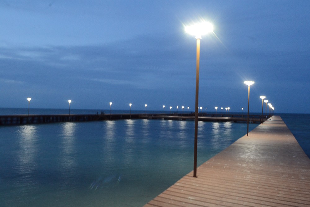 ALLTOP -High-quality Solar Yard Lights | Alltop Hot Sales Outdoor Waterproof Energy-7