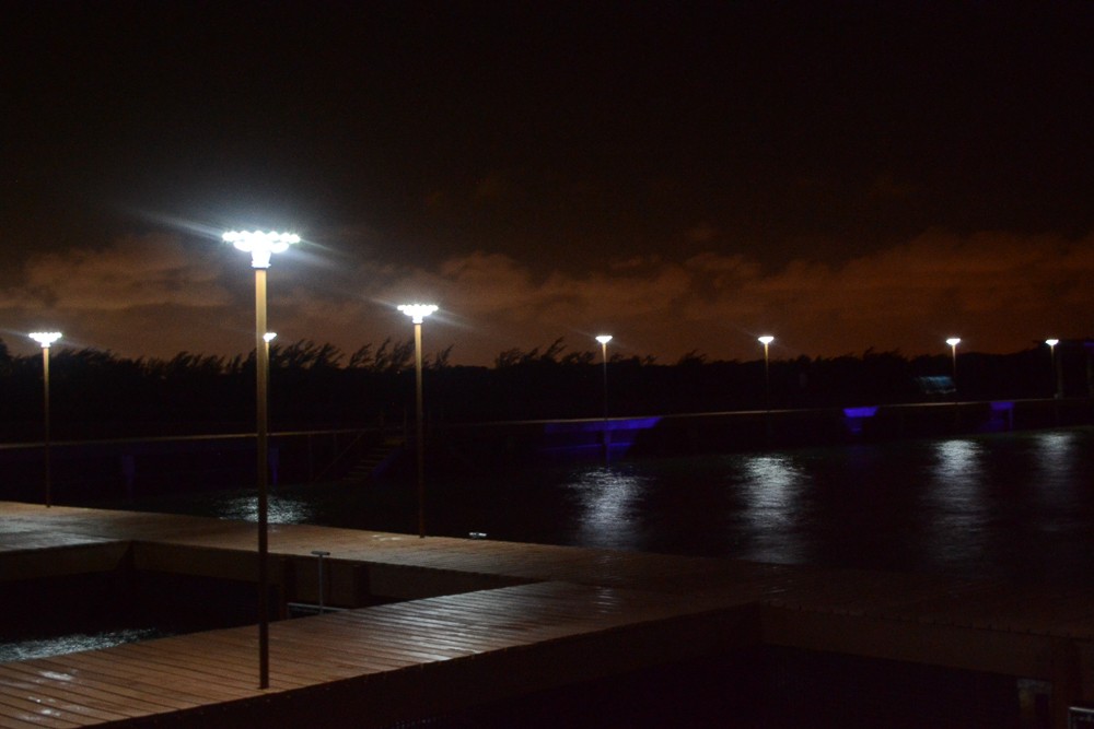 ALLTOP -High-quality Solar Yard Lights | Alltop Hot Sales Outdoor Waterproof Energy-8