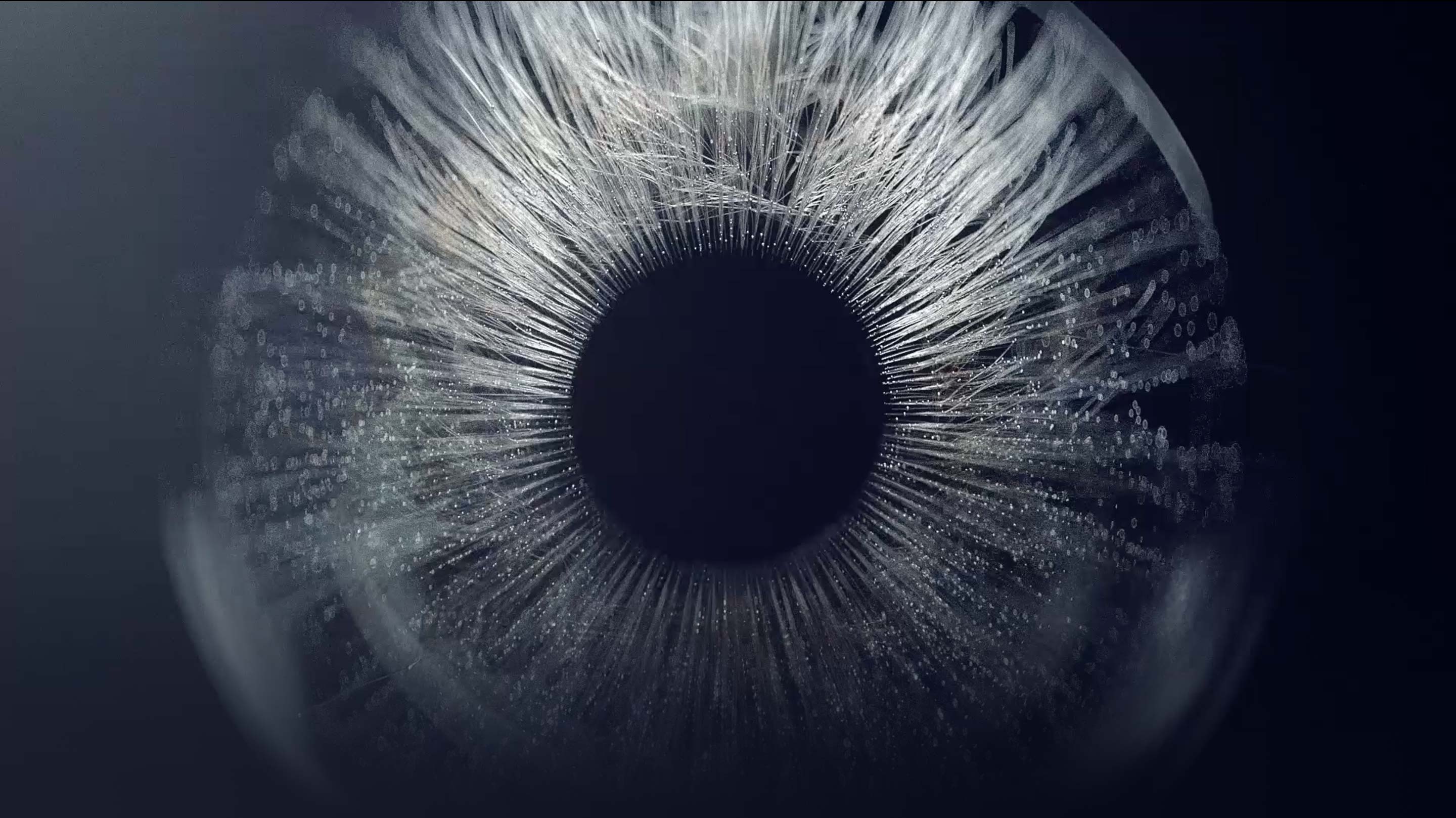 LCD Mall Array image43